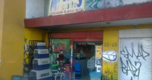 MASCOTAS MASCOSITAS MASCOTAS MASCOSITAS